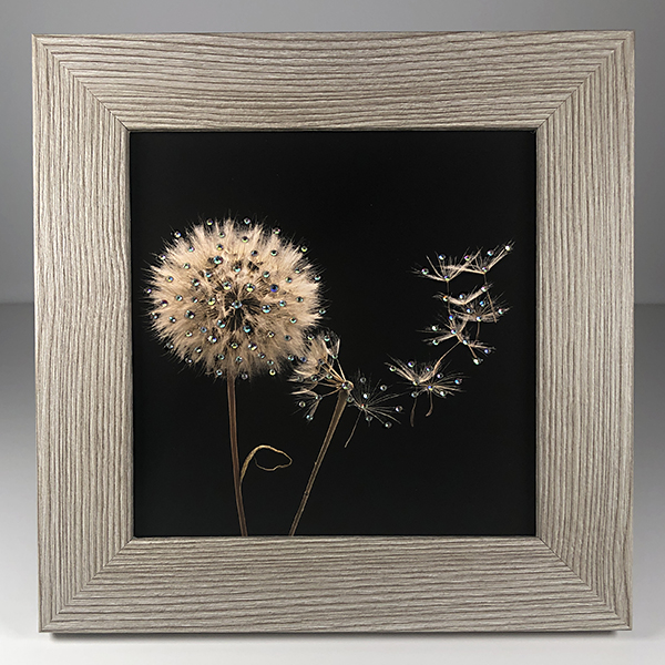 Pair of Dandelions print 6"x6"